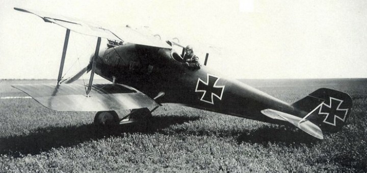 LFG Roland D.I / D.II